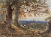 Windsor Castle and Forest, Berkshire