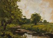River under Trees