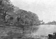 Trees by a River