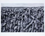 © Sean Scully & Kerlin Gallery
