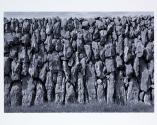 © Sean Scully & Kerlin Gallery
