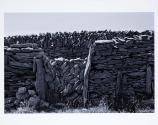 © Sean Scully & Kerlin Gallery
