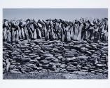 © Sean Scully & Kerlin Gallery

