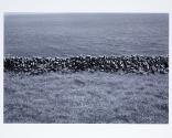 © Sean Scully & Kerlin Gallery
