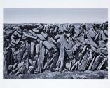© Sean Scully & Kerlin Gallery
