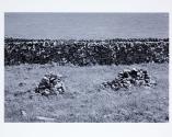 © Sean Scully & Kerlin Gallery
