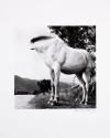 © National Gallery of Ireland
