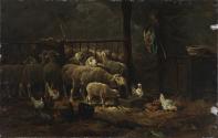 Sheep and Chickens in a Barn