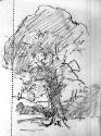 A Sketchbook with 54 Leaves of Landscape Studies, including A Tree