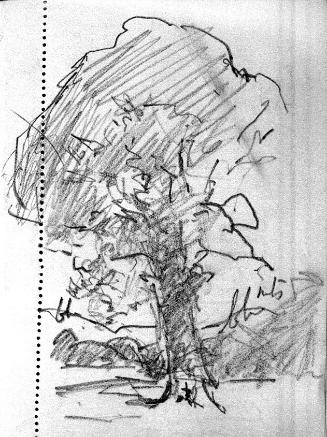 A Sketchbook with 54 Leaves of Landscape Studies, including A Tree