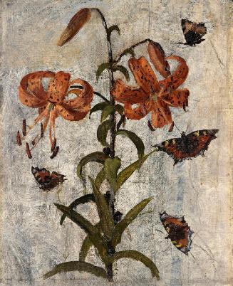Lilies and Butterflies