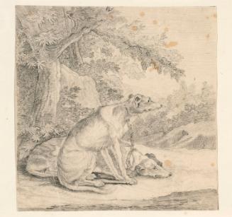 Two Chained Hunting Dogs
