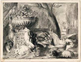 A Dog Chasing Wild Fowl