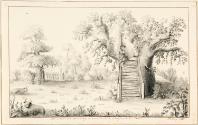 The Arbour Oak, Bradley, Worcestershire