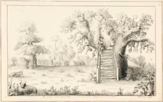 The Arbour Oak, Bradley, Worcestershire