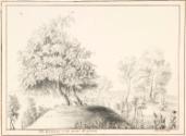 The Hawthorns on the Mount at Calwich House, Staffordshire