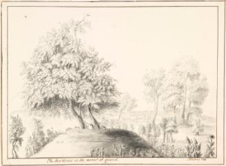 The Hawthorns on the Mount at Calwich House, Staffordshire
