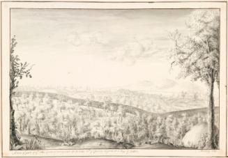 The Evergreen Grove at Delville with Dublin Bay in the Distance