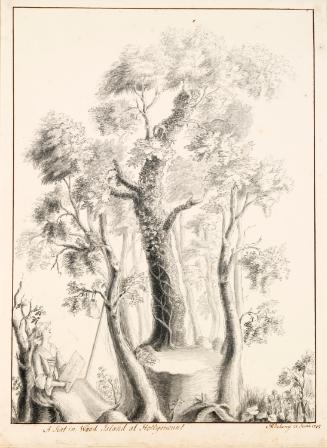 A Woman Sketching the Tree-Seat on Wood Island, Hollymount, near Downpatrick, Co. Down