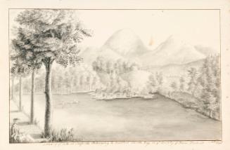 A Woman Sketching the Lake at Seaforde, County Down