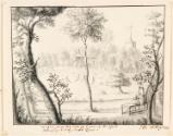 The View from the Cottage Grove, Hertford, Hertfordshire