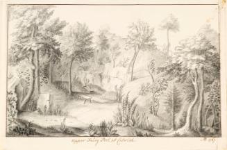 The Upper Fairy Pool at Calwich, Staffordshire