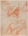 Drapery Studies (for 'The Daughters of Minyas' and 'Penelope and her Handmaidens Weaving') (c.1545)
