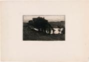 Landscape with Dark Trees and a River