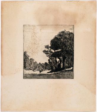 Trees in a Landscape