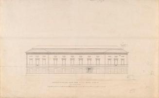 The North Elevation of the Natural History Museum, Dublin