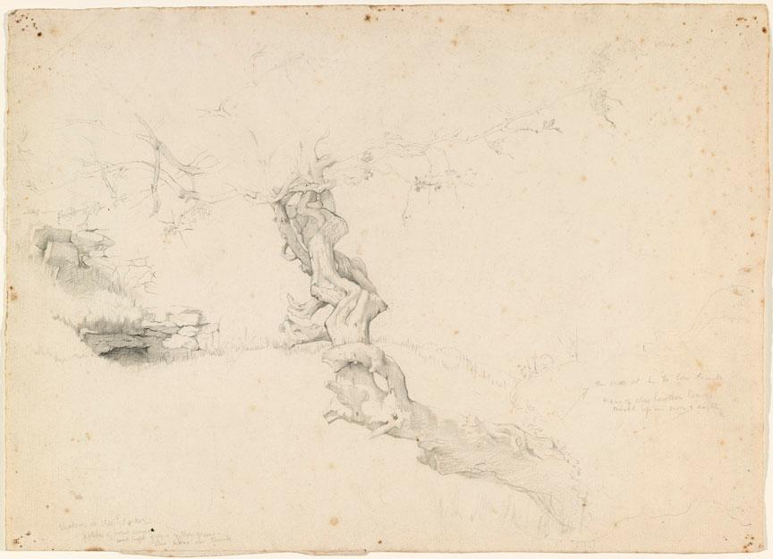 © The Artist's Estate