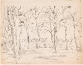 © The Artist's Estate