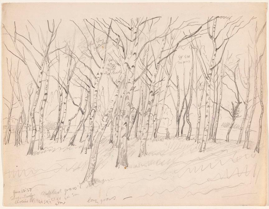 © The Artist's Estate