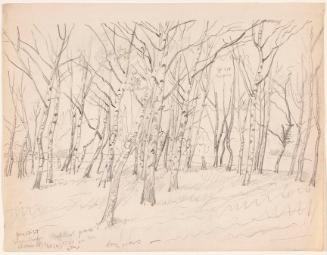 © The Artist's Estate