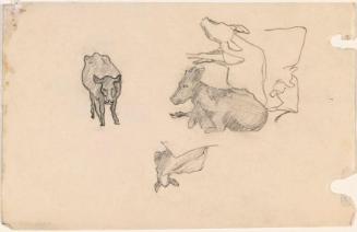 © The Artist's Estate