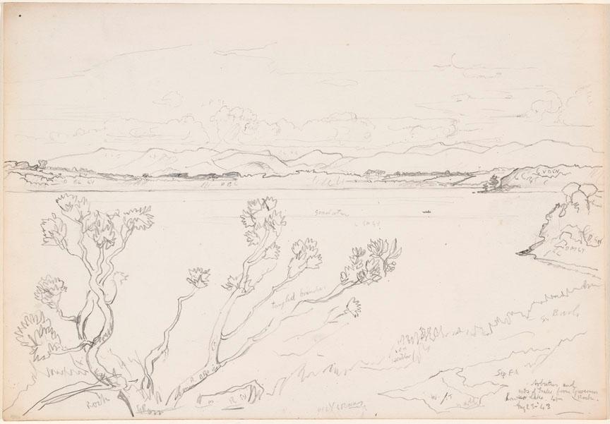 © The Artist's Estate