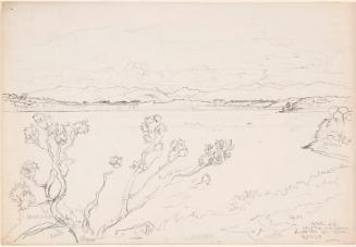 © The Artist's Estate