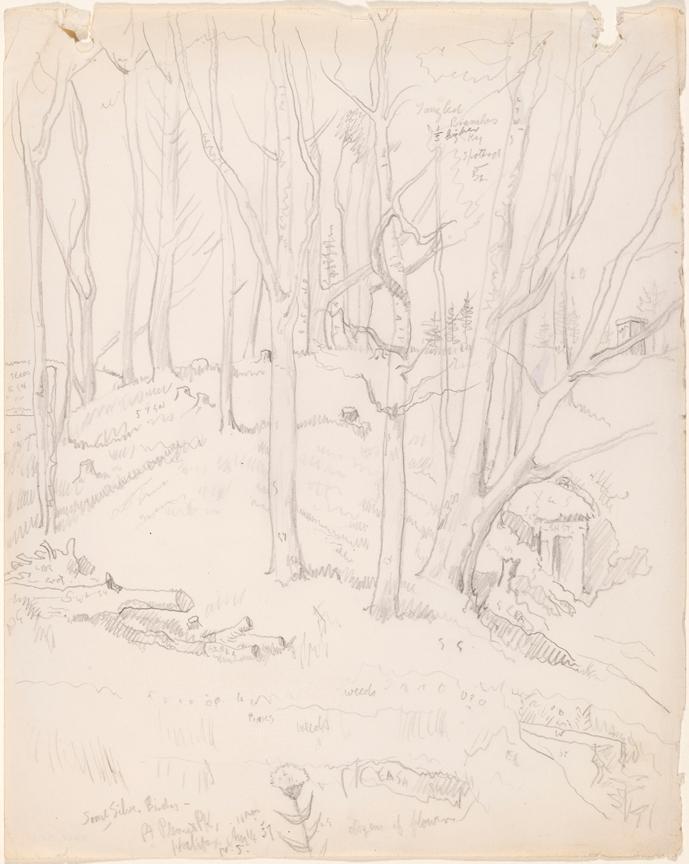 © The Artist's Estate