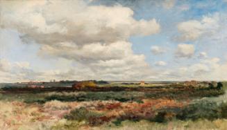 Landscape near Southwold
