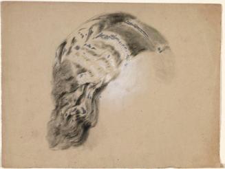 Study of a Woman's Hair