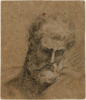 Head of a Bearded Man