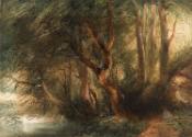 A Seated Man in a Wood