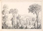 Saul Abbey, County Down