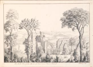 Saul Abbey, County Down