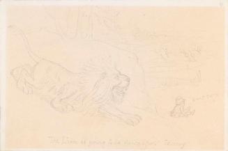 The Lion is Going to be 'down upon' Tommy