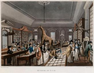 The Old Museum, Regent House, Trinity College, Dublin