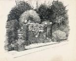 Garden Steps and a Shrubbery