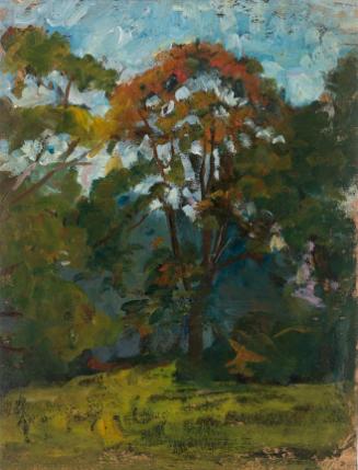 Sketch of Trees