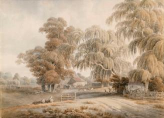 A Shaded Farmyard