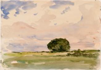 A Clump of Trees against the Sky